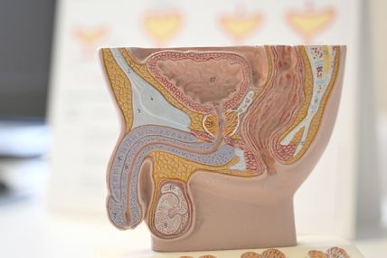 Biologische Tumortherapie